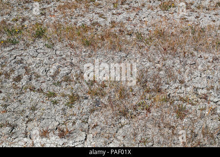 Dry cracked earth due to lack of rain. Stock Photo