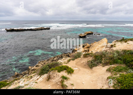 On Osprey, perched near the eastern Osprey Nest, Rotnest Island, Perth, Australia Stock Photo