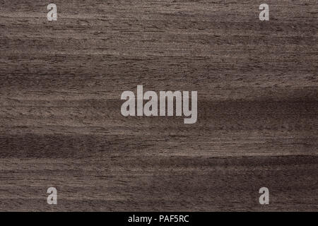Clear-cut veneer texture in superior grey tone. Stock Photo