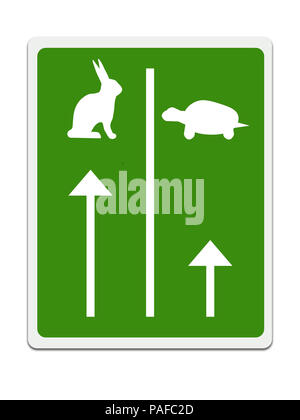 Fast and slow lanes for tortroise aka turtle and hare, Business success concept. White background. Stock Photo