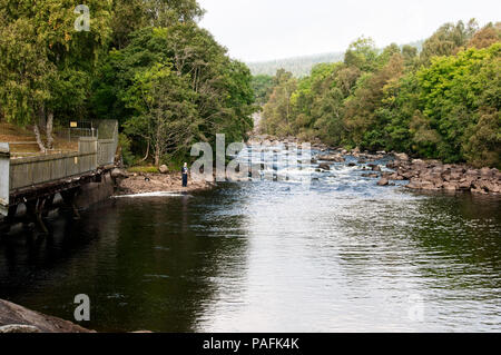 The River Tummel flows round a bend away from mist enshrouded pine trees over rocks to form foaming eddies before reaching a lone angler Stock Photo
