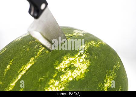 Watermelon isolated on white background. The biggest berry. Stock Photo