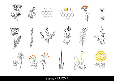 Doodle plants - cartoon nectar sources for honey bees. Vector hand drawn set, linear style Stock Vector
