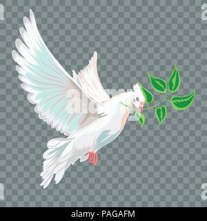 White flying dove with branch. Stock Vector