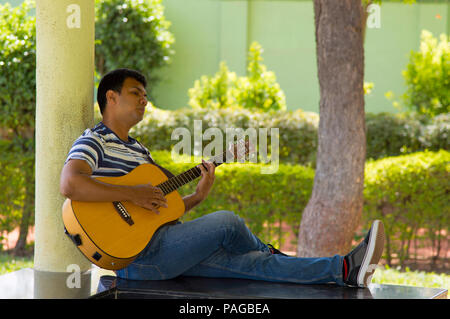 Young man sitting playing guitar under tree Stock Photo