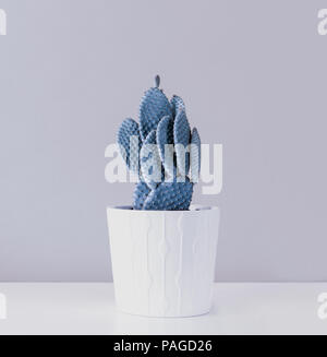 Cactus Fashion Set Design. Minimal Still Life. Trendy minimalism pop art style and colors cactus background. Contemporary Art. Stock Photo