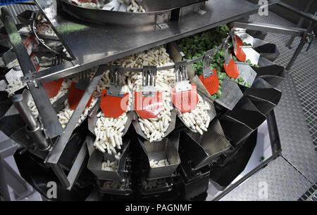 Bremerhaven, Germany. 25th June, 2018. Frozen noodles for a frozen meal being weighed and cut into portions in FROSTA. Credit: Carmen Jaspersen/dpa/Alamy Live News Stock Photo