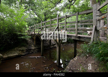 The original Pooh Bridge, Hartfield, East Sussex. Stock Photo