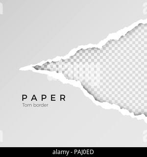 Gray ripped open paper with transparent background. Torn paper sheet. Paper texture. Vector illustration Stock Vector