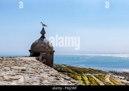 Peniche, Portugal - Seagull resting on a small tower by the coast Stock Photo