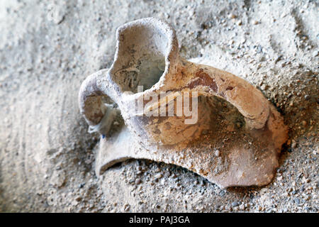 Shard of Roman amphora Stock Photo