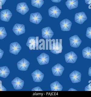 Blue Morning Glory Flower on Indigo Blue Background. Vector Illustration. Stock Vector