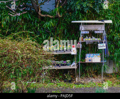 Kyoto, Japan - Nov 19, 2016. Self-service store on Philosopher Path at rainy day in Kyoto, Japan. Stock Photo
