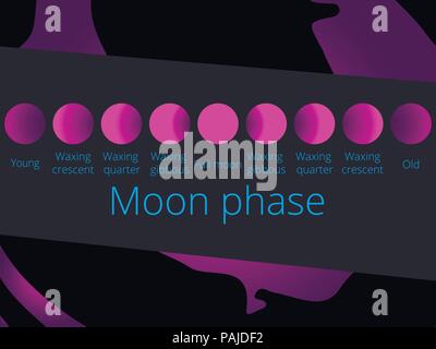 Phases of the moon, from the crescent to full moon. Purple color, vector illustration Stock Vector