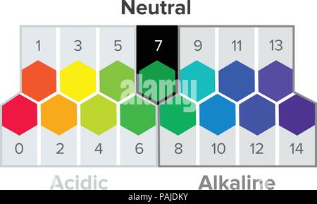 Measurement of the pH scale, spectrum, infographics. pH is a logarithmic scale used to specify the acidity or basicity of an aqueous solution Stock Vector