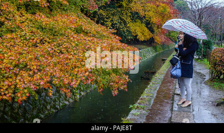 Kyoto, Japan - Nov 19, 2016. People with umbrellas walking on Philosopher Path at rainy day in Kyoto, Japan. Stock Photo