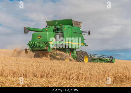 UK Farming, a John Deere Hillmaster combine at work on a winter barley crop Stock Photo