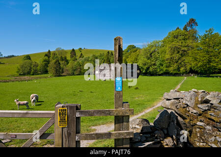 Close up of wooden public footpath sign signs in spring near Hawkshead Lake District National Park Cumbria England UK United Kingdom GB Great Britain Stock Photo