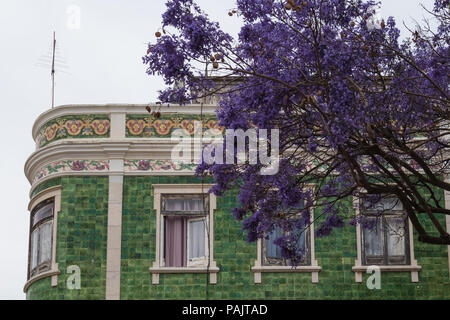 Jacaranda tree with its violet flowers in the foreground. Traditional portuguese house with green tiles (azulejos) and paiting. Cloudy sky. Lagos, Alg Stock Photo