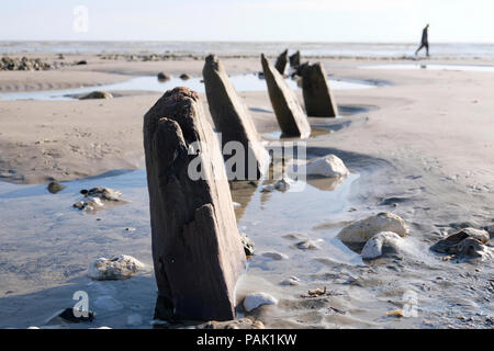 Remains of old sea defences or groynes along the beach at low tide  at East Preston, West Sussex. Locals liken them to sharks' fins Stock Photo