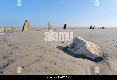 Remains of old sea defences or groynes along the beach at low tide  at East Preston, West Sussex. Locals liken them to sharks' fins Stock Photo