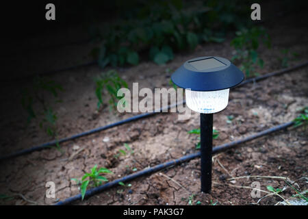 Solar decorative spot light Spotlight put in ground in garden Stock Photo