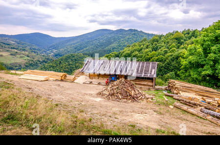 Old improvised sawmill on a mountain peak with a lot of timber and lumber laying around in piles and green trees on the back Stock Photo