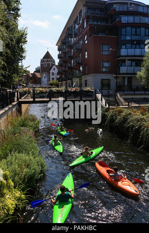 London. UK. 24th July 2018.Canoeists  in Kingston enjoy paddling up a canal  in the sunshine on another hot day in prospect with high temperatures set to stay Credit: amer ghazzal/Alamy Live News Stock Photo