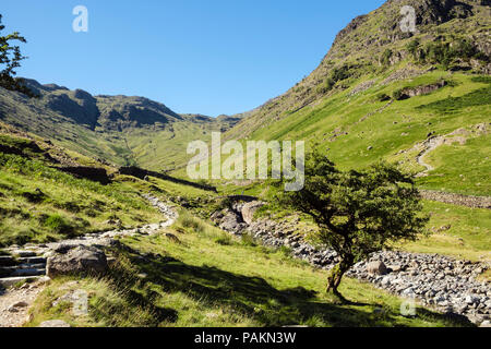 Track to Stockley Bridge from Seathwaite in the Lake District National Park fells, Borrowdale, Cumbria, England, UK, Britain Stock Photo