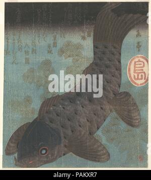 Carp and Pine. Artist: Yashima Gakutei (Japanese, 1786?-1868). Culture: Japan. Dimensions: 7 7/8 x 6 7/8 in. (20 x 17.5 cm).  Commissioned by the Friends Club of Kamige, this design is the quintessential fish surimono. Here the carp, shown beneath the murky water, has been painstakingly rendered with numerous color blocks, creating a rich tonal quality for its scales. In the lower right-hand corner is a small stamp reading 'Hayashi'; this is the personal seal of Hayashi Tadamasa, the great expert and dealer of Japanese art in Paris. No doubt this print was acquired by Mrs. Havemeyer from Mr. H Stock Photo