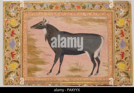 "Study of a Nilgai (Blue Bull)", Folio from the Shah Jahan Album. Artist: Painting by Mansur (active ca. 1589-1626). Calligrapher: Mir 'Ali Haravi (d. ca. 1550). Dimensions: H. 15 5/16 in. (38.9 cm)  W. 10 1/16 in. (25.6 cm). Date: verso: ca. 1620; recto ca. 1540.  The nilgai, though known as a blue bull, is a type of antelope found in central and northern India and eastern Pakistan. This study was painted by Mansur, probably after observing the animal in Jahangir's (r. 1605-27) zoological garden. While great detail is lavished on the depiction of the animal, down to the distinctive swirl of h Stock Photo