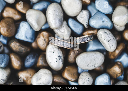 Two black and gold wedding rings on stone painted multicolor background Stock Photo