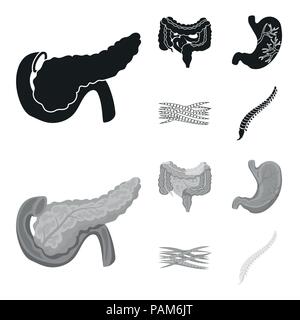 Intestines, stomach, muscles, spine. Organs set collection icons in black,monochrom style vector symbol stock illustration . Stock Vector