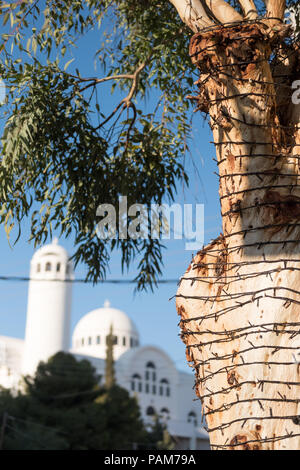 Olive tree wrapped with small electric lights for evening in front of an Orthodox Catholic Church and blue sky. Glyfada, East Attica, Greece. Stock Photo