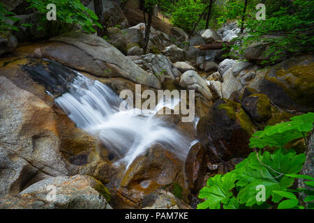 Tamarack Creek rock waterfall with boulders and green plants - along Highway 120 in Yosemite National Park Stock Photo