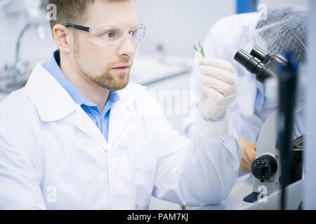Portrait of young scientist doing biochemical research while studying plants in laboratory Stock Photo