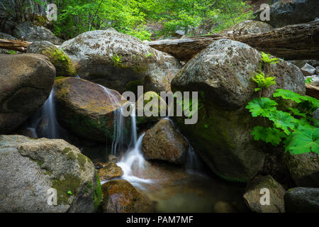 Relaxing Tamarack Creek stream and falls, in the forest along Big Oak Flat Road - Highway 120 in Yosemite National Park Stock Photo
