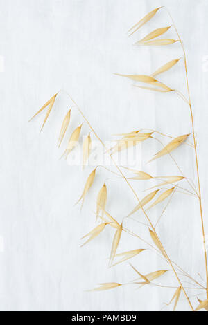 Beautiful Autumnal Easter Wedding Background. Dry Wild Oats Beige Yellow Flowers on White Linen Fabric. Minimalist Japanese Style. Elegant Female Styl Stock Photo