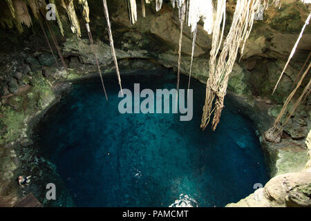 Top view of a cenote (underground river sinkhole) in Cuzamá, Yucatán, Mexico Stock Photo