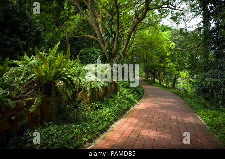 Curved red brick path in Fort Canning Park, a public green space in Singapore Stock Photo