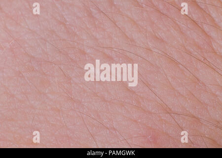 human skin texture up macro of brown person clean skin stock image image of macro up of human showing white teeth stock photo 124476103 alamy human skin texture up macro of brown person clean skin stock image image of macro up of human showing white teeth stock photo 124476103 alamy