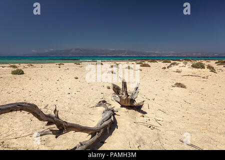 Dead juniper trees on Chrissi island beach, that looks like desert with turquoise sea in background. Stock Photo
