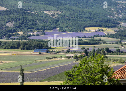 Patchwork of Farmer's fields in valley below Sault, Provence France Stock Photo