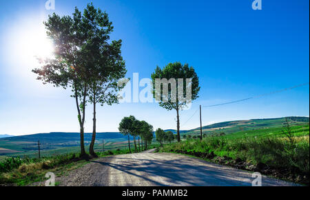 Rural road made of rock over green hills and farm land at sunset Stock Photo