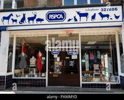 Basingstoke, United Kingdom - July 05 2018:   The front entrance to the RSPCA Charity Shop in London Street Stock Photo