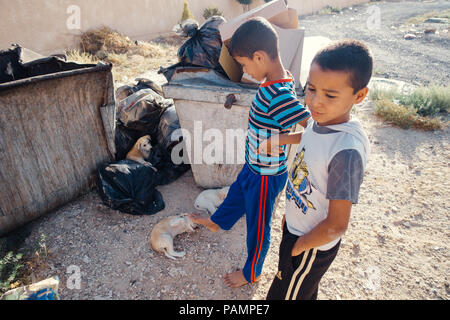 two young Jordanian boys kick puppies lying in a dumpster on a hot day in Jordan Stock Photo