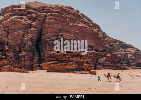 camels in the desert in summer sun in Wadi Rum, Jordan Stock Photo