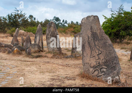 Tiya is a town and archaeological site notable for stone pillars with carved symbols, notably swords. Stock Photo