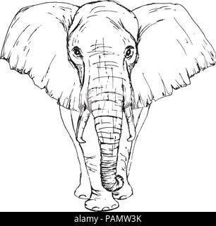 Mascot Head Elephant Vector  Photo Free Trial  Bigstock