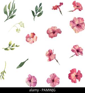 Phlox flowers hand drawn watercolor colleclion Stock Vector
